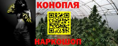 МДПВ Тула