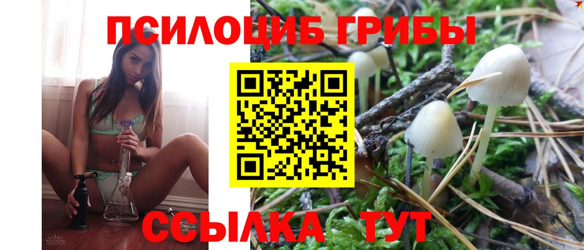 Псилоцибиновые грибы Cubensis  Вход с VPN  Псилоцибиновые грибы мухоморы  купить   Назрань 